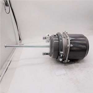 Тормозная камера QDT295S227-3530020